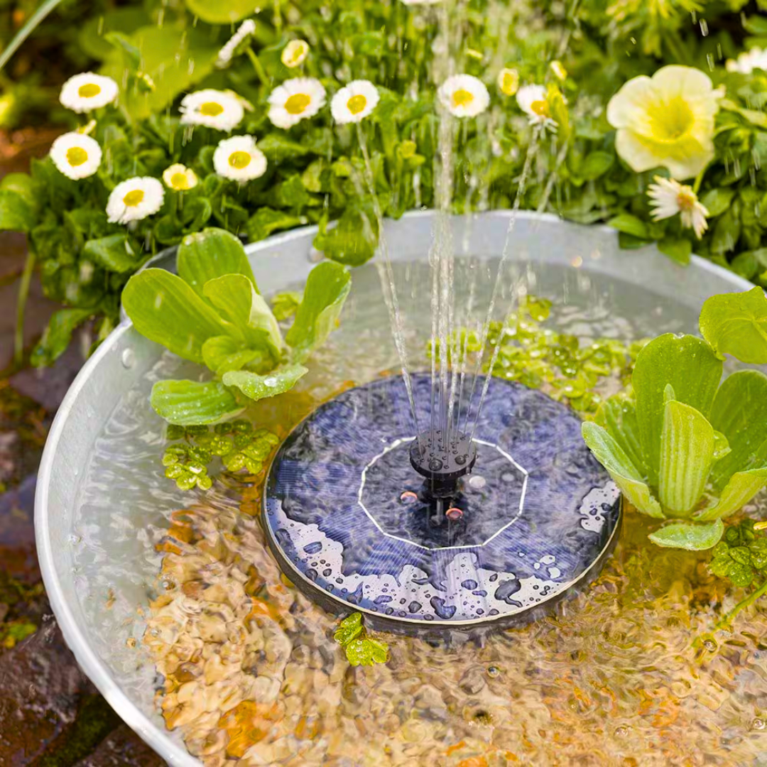 SOLARNA FONTANA